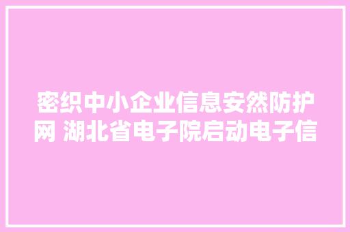 密织中小企业信息安然防护网 湖北省电子院启动电子信息家当链质量提升