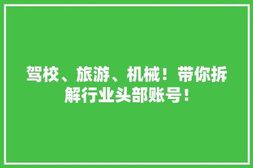 驾校、旅游、机械！带你拆解行业头部账号！ 驾校、旅游、机械！带你拆解行业头部账号！ 人工智能