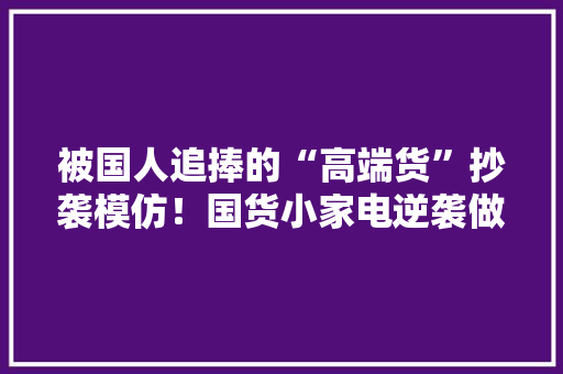 被国人追捧的“高端货”抄袭模仿！国货小家电逆袭做对了什么？ 被国人追捧的“高端货”抄袭模仿！国货小家电逆袭做对了什么？ 互联通信