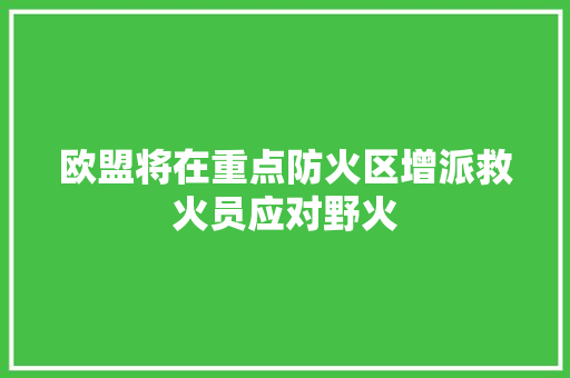 欧盟将在重点防火区增派救火员应对野火 欧盟将在重点防火区增派救火员应对野火 互联通信