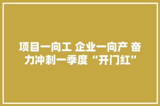 项目一向工 企业一向产 奋力冲刺一季度“开门红”
