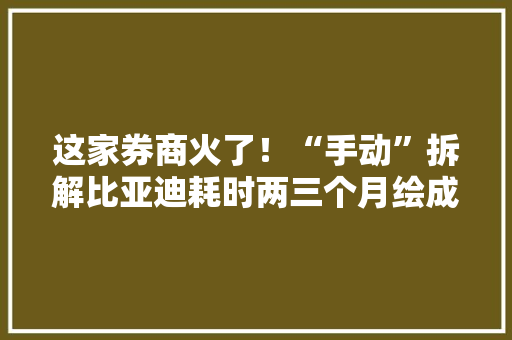 这家券商火了！“手动”拆解比亚迪耗时两三个月绘成87页申报……当事人现身回应