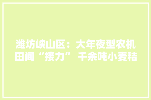 潍坊峡山区：大年夜型农机田间“接力” 千余吨小麦秸秆“变废为宝”