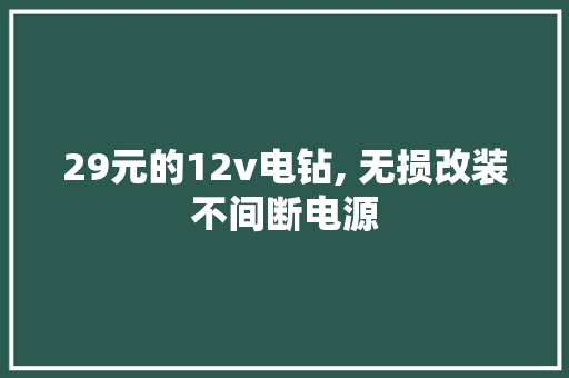 29元的12v电钻, 无损改装不间断电源