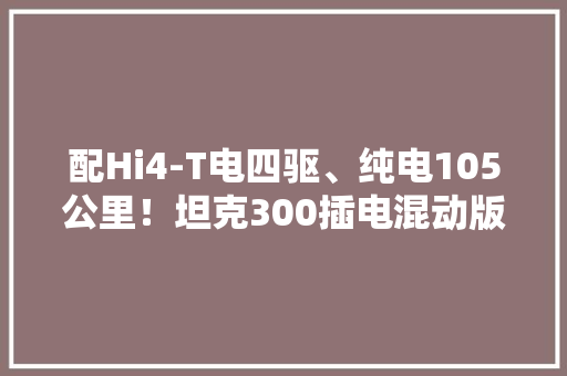 配Hi4-T电四驱、纯电105公里！坦克300插电混动版实车曝光