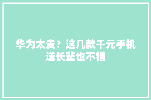 华为太贵？这几款千元手机送长辈也不错