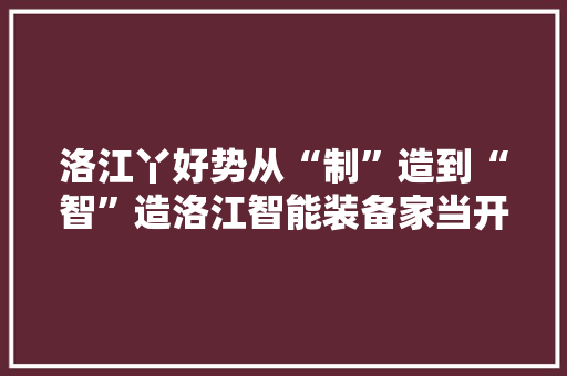 洛江丫好势从“制”造到“智”造洛江智能装备家当开启“高端局”
