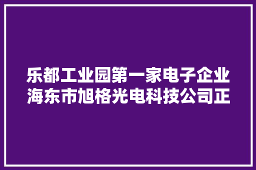 乐都工业园第一家电子企业海东市旭格光电科技公司正式投产开业啦