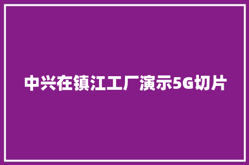 中兴在镇江工厂演示5G切片