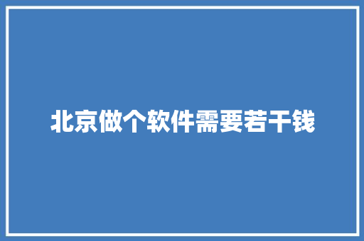 北京做个软件需要若干钱