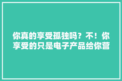 你真的享受孤独吗？不！你享受的只是电子产品给你营造的觉得
