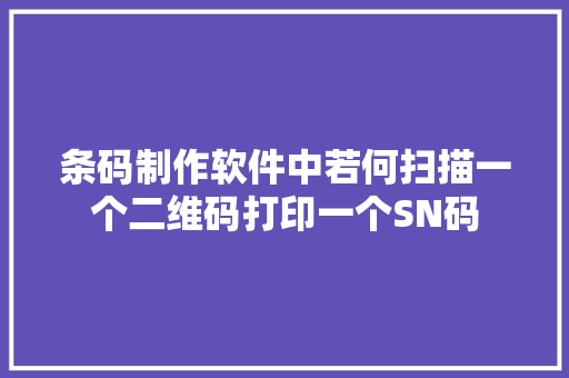 条码制作软件中若何扫描一个二维码打印一个SN码