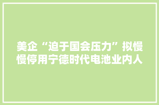美企“迫于国会压力”拟慢慢停用宁德时代电池业内人士：将严重限制美国内供应