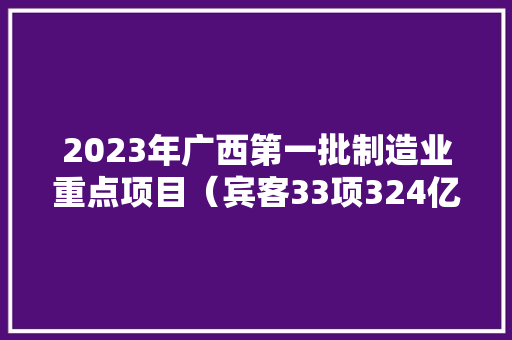 2023年广西第一批制造业重点项目（宾客33项324亿） 2023年广西第一批制造业重点项目（宾客33项324亿） 智能科技
