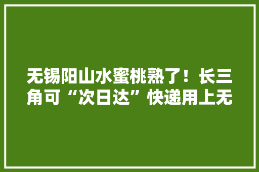 无锡阳山水蜜桃熟了！长三角可“次日达”快递用上无人机 无锡阳山水蜜桃熟了！长三角可“次日达”快递用上无人机 智能科技