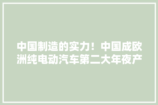 中国制造的实力！中国成欧洲纯电动汽车第二大年夜产地 中国制造的实力！中国成欧洲纯电动汽车第二大年夜产地 智能家居