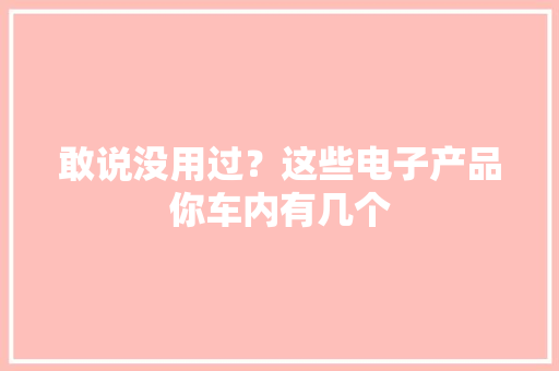 敢说没用过？这些电子产品你车内有几个