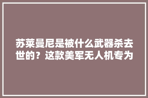 苏莱曼尼是被什么武器杀去世的？这款美军无人机专为刺杀而生