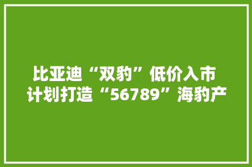 比亚迪“双豹”低价入市 计划打造“56789”海豹产品矩阵