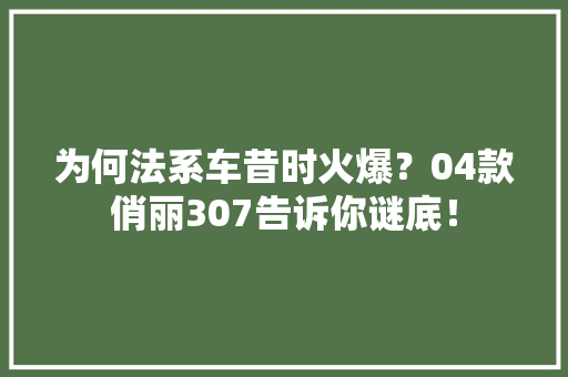 为何法系车昔时火爆？04款俏丽307告诉你谜底！ 为何法系车昔时火爆？04款俏丽307告诉你谜底！ 人工智能