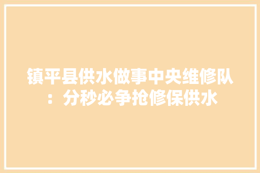 镇平县供水做事中央维修队：分秒必争抢修保供水