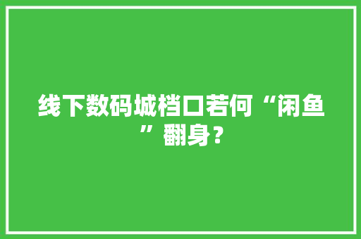 线下数码城档口若何“闲鱼”翻身？