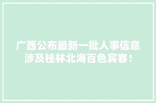 广西公布最新一批人事信息涉及桂林北海百色宾客！