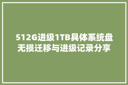 512G进级1TB具体系统盘无损迁移与进级记录分享