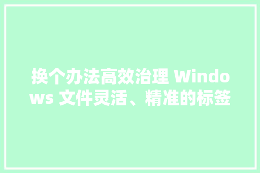 换个办法高效治理 Windows 文件灵活、精准的标签对象：Tabbles