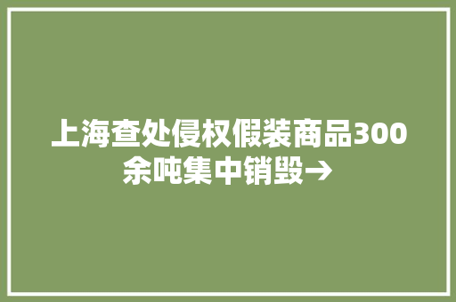 上海查处侵权假装商品300余吨集中销毁→