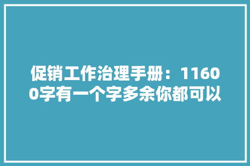 促销工作治理手册：11600字有一个字多余你都可以来骂我