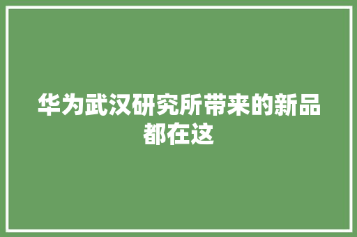 华为武汉研究所带来的新品都在这