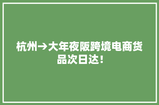 杭州→大年夜阪跨境电商货品次日达！