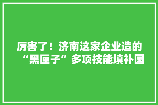 厉害了！济南这家企业造的“黑匣子”多项技能填补国内空白