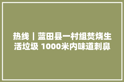 热线｜蓝田县一村组焚烧生活垃圾 1000米内味道刺鼻