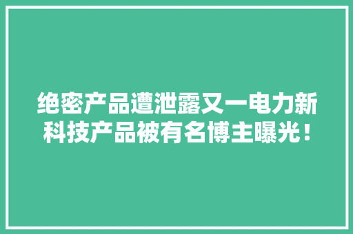 绝密产品遭泄露又一电力新科技产品被有名博主曝光！