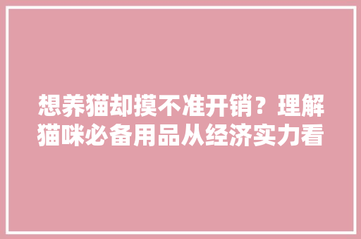 想养猫却摸不准开销？理解猫咪必备用品从经济实力看养猫能力