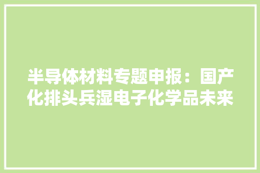半导体材料专题申报：国产化排头兵湿电子化学品未来可期