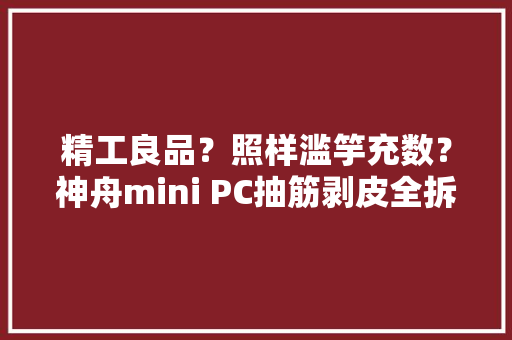 精工良品？照样滥竽充数？神舟mini PC抽筋剥皮全拆解