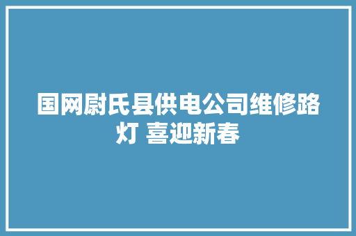 国网尉氏县供电公司维修路灯 喜迎新春