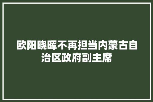 欧阳晓晖不再担当内蒙古自治区政府副主席