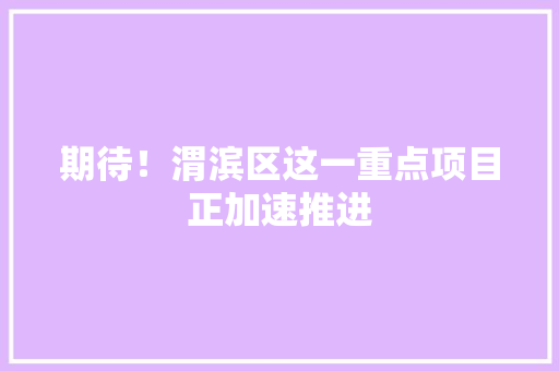 期待！渭滨区这一重点项目正加速推进