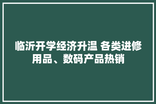 临沂开学经济升温 各类进修用品、数码产品热销