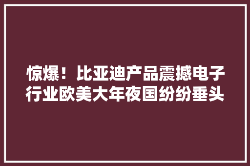 惊爆！比亚迪产品震撼电子行业欧美大年夜国纷纷垂头买单！