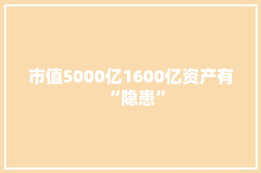 市值5000亿1600亿资产有“隐患” 市值5000亿1600亿资产有“隐患” 智能家居