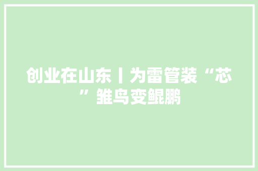 创业在山东丨为雷管装“芯”雏鸟变鲲鹏 创业在山东丨为雷管装“芯”雏鸟变鲲鹏 互联通信