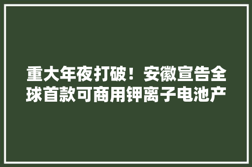 重大年夜打破！安徽宣告全球首款可商用钾离子电池产品续航可达150公里专家称未来有望慢慢取代两轮电动车用铅酸电池附两轮电动车行业竞争格局
