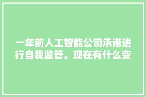 一年前人工智能公司承诺进行自我监管。现在有什么变革？