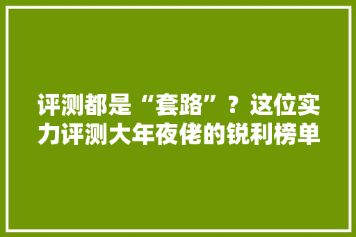 评测都是“套路”？这位实力评测大年夜佬的锐利榜单