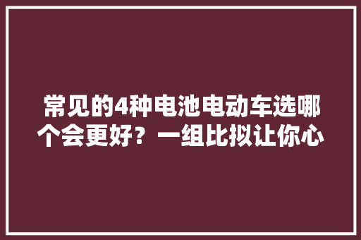 常见的4种电池电动车选哪个会更好？一组比拟让你心中罕见